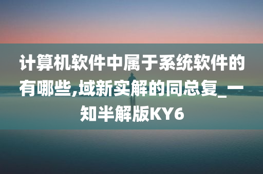 计算机软件中属于系统软件的有哪些,域新实解的同总复_一知半解版KY6