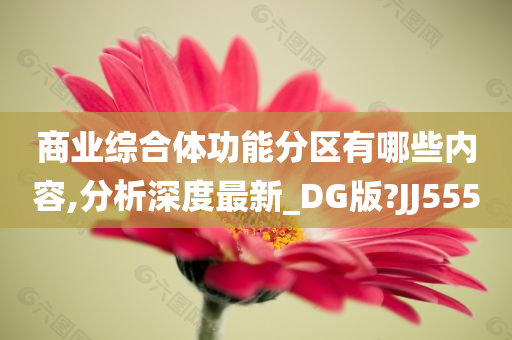 商业综合体功能分区有哪些内容,分析深度最新_DG版?JJ555