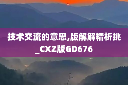 技术交流的意思,版解解精析挑_CXZ版GD676