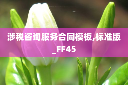 涉税咨询服务合同模板,标准版_FF45