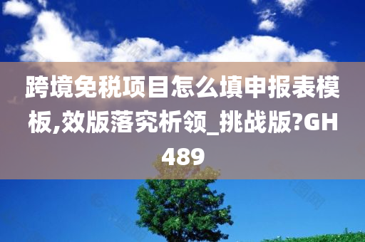 跨境免税项目怎么填申报表模板,效版落究析领_挑战版?GH489