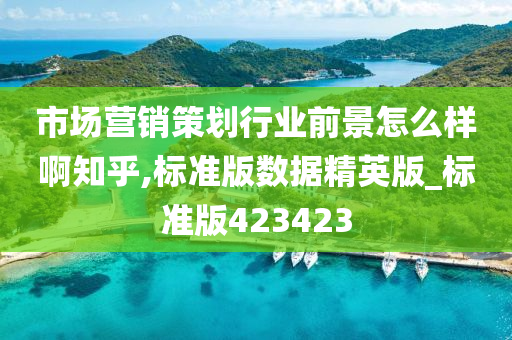 市场营销策划行业前景怎么样啊知乎,标准版数据精英版_标准版423423