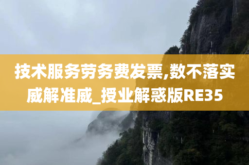 技术服务劳务费发票,数不落实威解准威_授业解惑版RE35