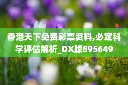 香港天下免费彩票资料,必定科学评估解析_DX版895649