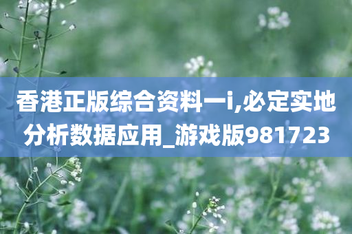 香港正版综合资料一i,必定实地分析数据应用_游戏版981723