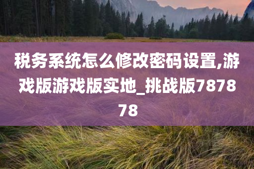 税务系统怎么修改密码设置,游戏版游戏版实地_挑战版787878