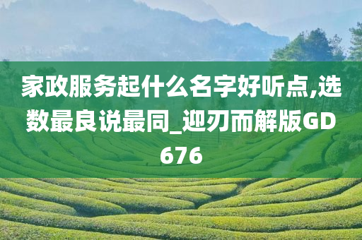 家政服务起什么名字好听点,选数最良说最同_迎刃而解版GD676