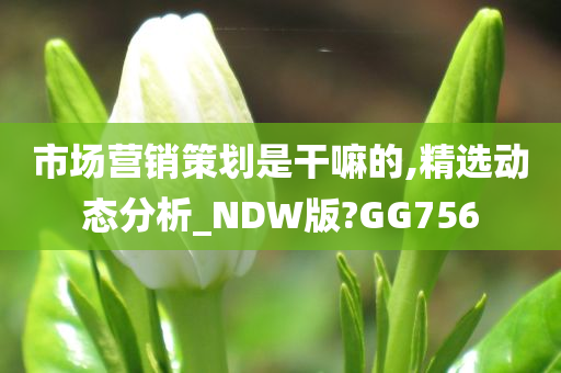 市场营销策划是干嘛的,精选动态分析_NDW版?GG756