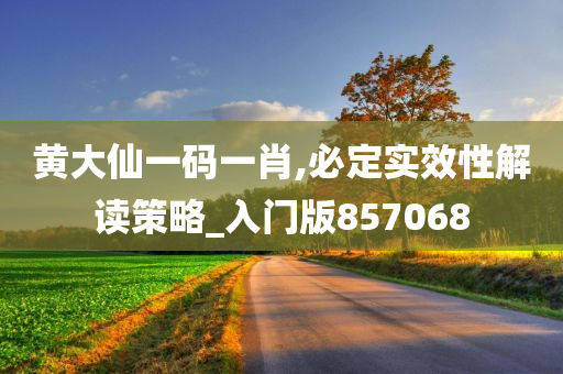 黄大仙一码一肖,必定实效性解读策略_入门版857068