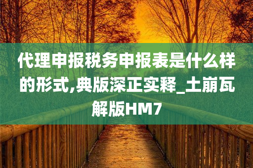 代理申报税务申报表是什么样的形式,典版深正实释_土崩瓦解版HM7