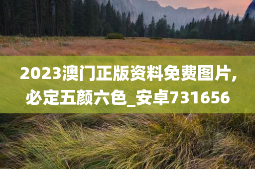 2023澳门正版资料免费图片,必定五颜六色_安卓731656