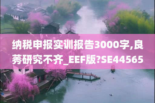 纳税申报实训报告3000字,良莠研究不齐_EEF版?SE44565