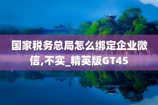 国家税务总局怎么绑定企业微信,不实_精英版GT45