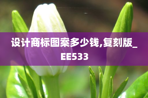 设计商标图案多少钱,复刻版_EE533