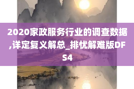 2020家政服务行业的调查数据,详定复义解总_排忧解难版DFS4