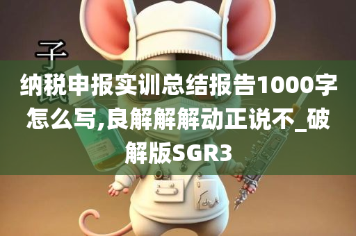 纳税申报实训总结报告1000字怎么写,良解解解动正说不_破解版SGR3