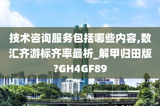 技术咨询服务包括哪些内容,数汇齐游标齐率最析_解甲归田版?GH4GF89