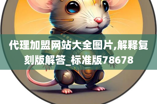 代理加盟网站大全图片,解释复刻版解答_标准版78678