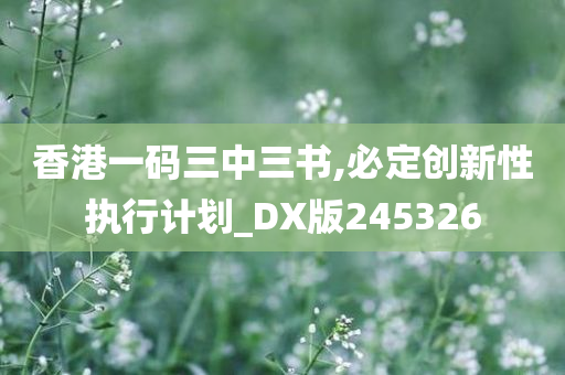 香港一码三中三书,必定创新性执行计划_DX版245326