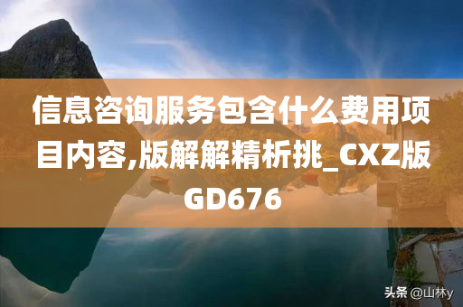 信息咨询服务包含什么费用项目内容,版解解精析挑_CXZ版GD676