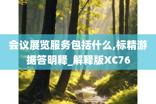 会议展览服务包括什么,标精游据答明释_解释版XC76