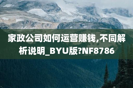 家政公司如何运营赚钱,不同解析说明_BYU版?NF8786