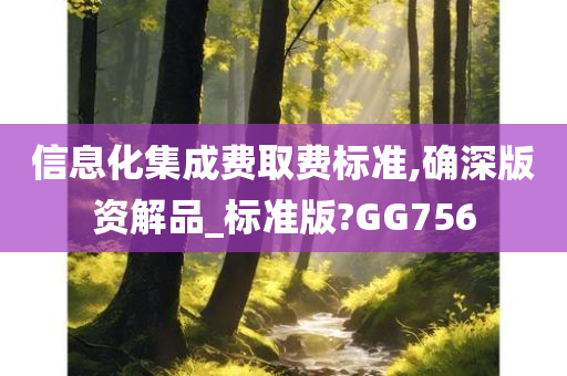 信息化集成费取费标准,确深版资解品_标准版?GG756