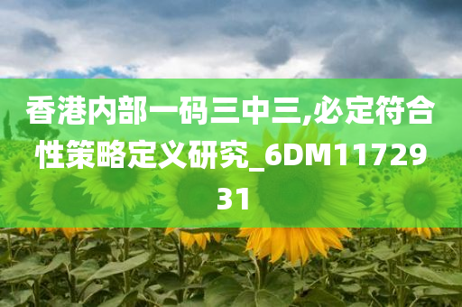 香港内部一码三中三,必定符合性策略定义研究_6DM1172931