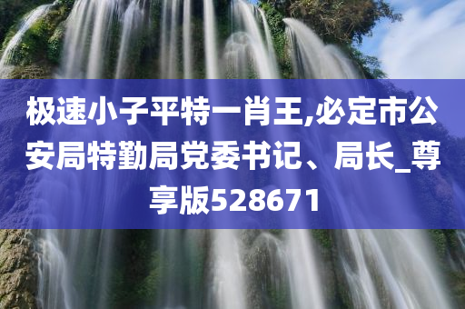 极速小子平特一肖王,必定市公安局特勤局党委书记、局长_尊享版528671