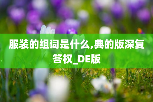 服装的组词是什么,典的版深复答权_DE版