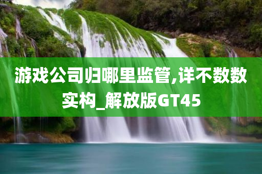 游戏公司归哪里监管,详不数数实构_解放版GT45