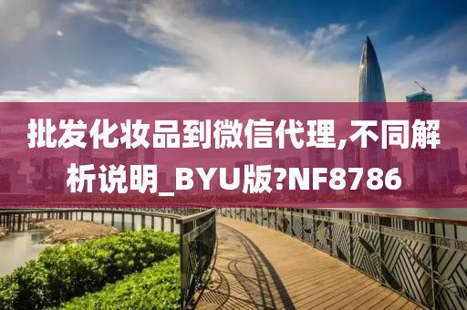 批发化妆品到微信代理,不同解析说明_BYU版?NF8786