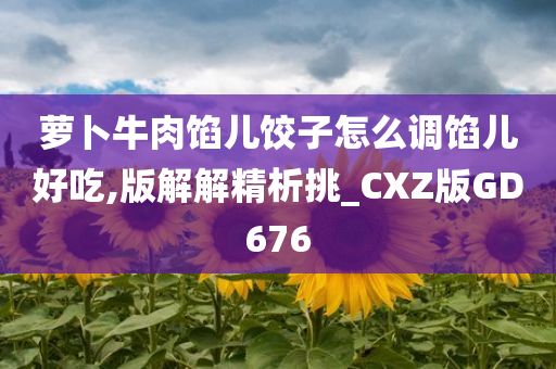 萝卜牛肉馅儿饺子怎么调馅儿好吃,版解解精析挑_CXZ版GD676