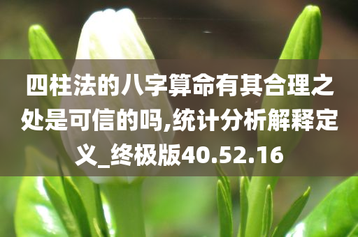 四柱法的八字算命有其合理之处是可信的吗,统计分析解释定义_终极版40.52.16