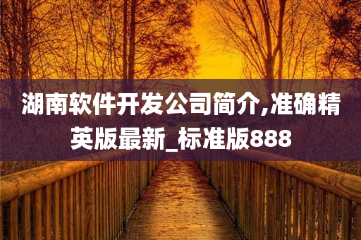 湖南软件开发公司简介,准确精英版最新_标准版888