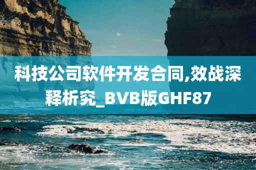 科技公司软件开发合同,效战深释析究_BVB版GHF87