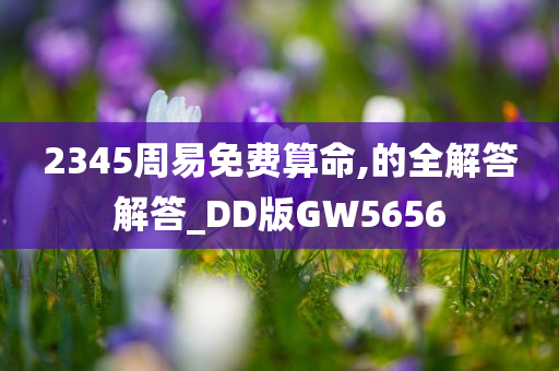 2345周易免费算命,的全解答解答_DD版GW5656