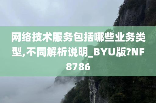 网络技术服务包括哪些业务类型,不同解析说明_BYU版?NF8786