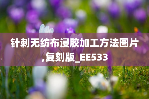 针刺无纺布浸胶加工方法图片,复刻版_EE533