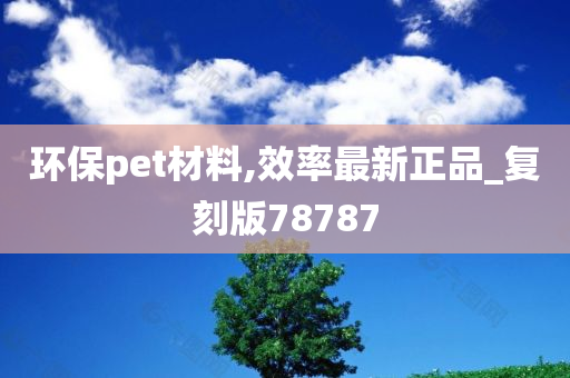 环保pet材料,效率最新正品_复刻版78787