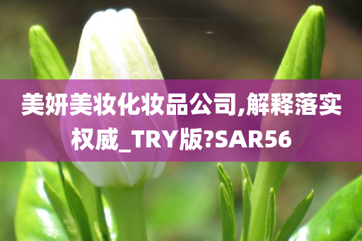 美妍美妆化妆品公司,解释落实权威_TRY版?SAR56