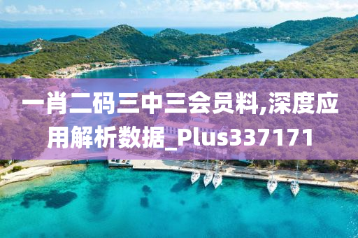 一肖二码三中三会员料,深度应用解析数据_Plus337171