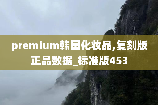 premium韩国化妆品,复刻版正品数据_标准版453