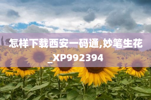 怎样下载西安一码通,妙笔生花_XP992394