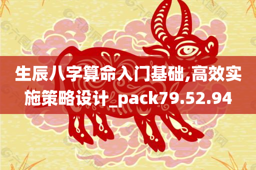 生辰八字算命入门基础,高效实施策略设计_pack79.52.94