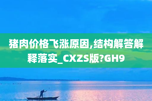 猪肉价格飞涨原因,结构解答解释落实_CXZS版?GH9