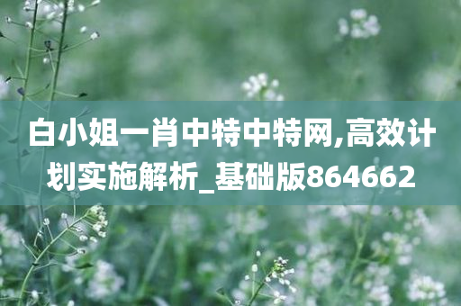 白小姐一肖中特中特网,高效计划实施解析_基础版864662