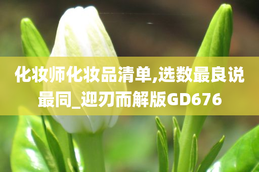 化妆师化妆品清单,选数最良说最同_迎刃而解版GD676