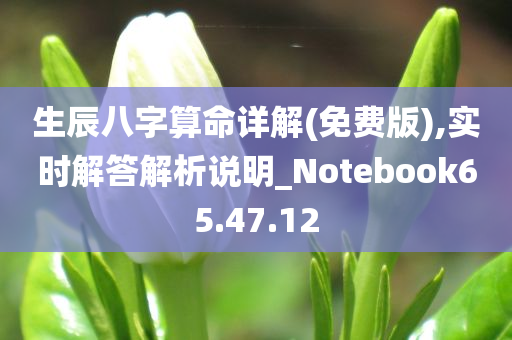 生辰八字算命详解(免费版),实时解答解析说明_Notebook65.47.12