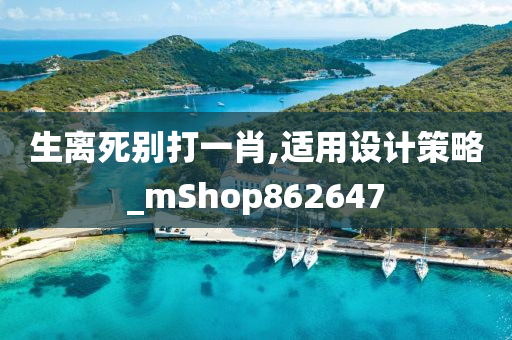 生离死别打一肖,适用设计策略_mShop862647